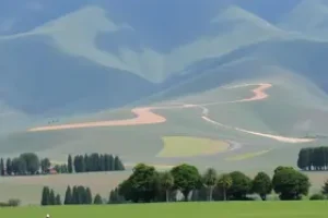 concurso Prefeitura Zabelê PB